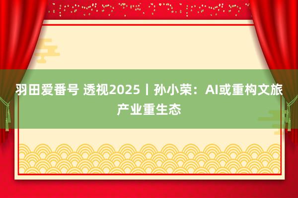 羽田爱番号 透视2025丨孙小荣：AI或重构文旅产业重生态