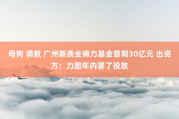 母狗 调教 广州新质坐褥力基金首期30亿元 出资方：力图年内罢了投放
