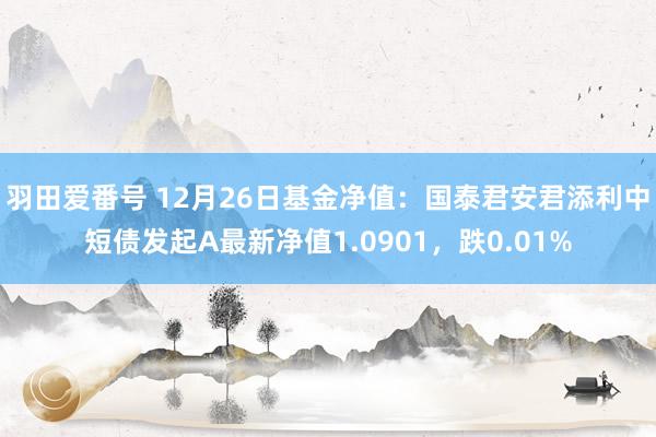 羽田爱番号 12月26日基金净值：国泰君安君添利中短债发起A最新净值1.0901，跌0.01%