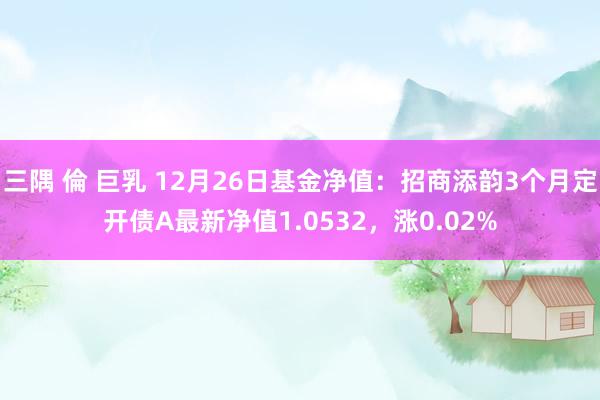 三隅 倫 巨乳 12月26日基金净值：招商添韵3个月定开债A最新净值1.0532，涨0.02%