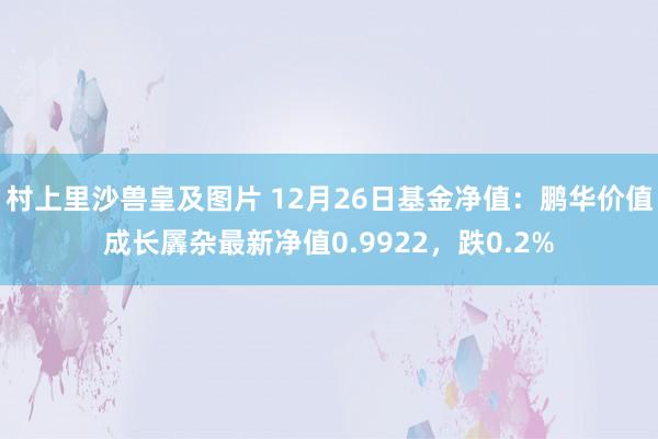 村上里沙兽皇及图片 12月26日基金净值：鹏华价值成长羼杂最新净值0.9922，跌0.2%