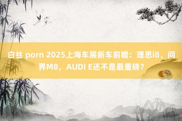 白丝 porn 2025上海车展新车前瞻：理思i8、问界M8，AUDI E还不是最重磅？