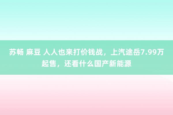 苏畅 麻豆 人人也来打价钱战，上汽途岳7.99万起售，还看什么国产新能源