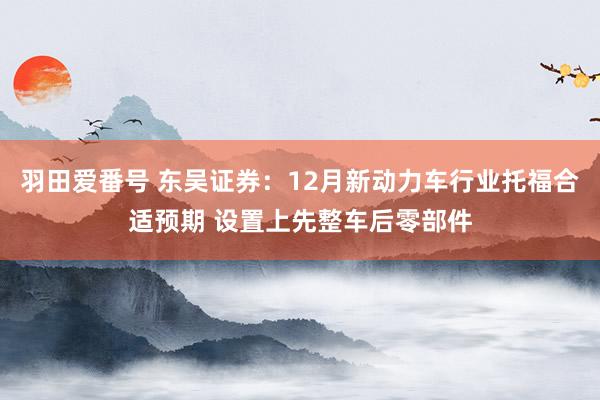 羽田爱番号 东吴证券：12月新动力车行业托福合适预期 设置上先整车后零部件