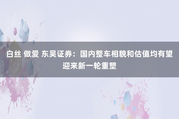 白丝 做爱 东吴证券：国内整车相貌和估值均有望迎来新一轮重塑