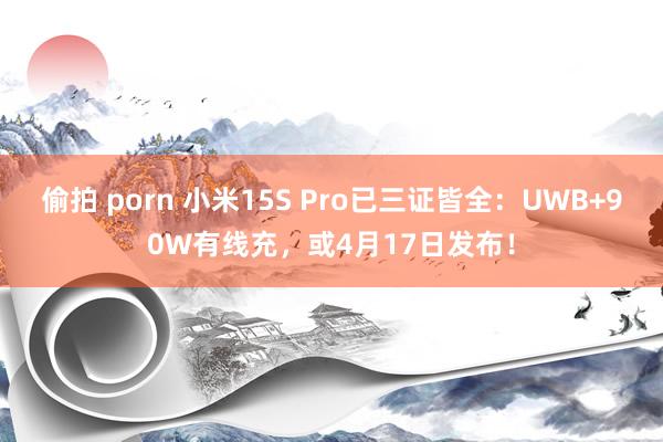 偷拍 porn 小米15S Pro已三证皆全：UWB+90W有线充，或4月17日发布！