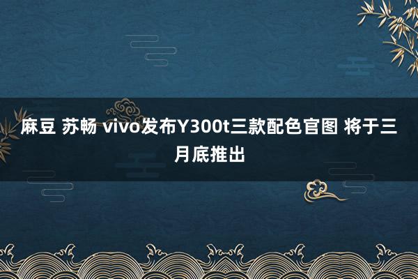 麻豆 苏畅 vivo发布Y300t三款配色官图 将于三月底推出