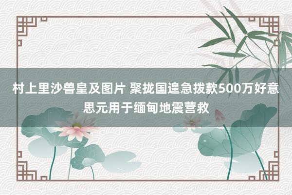 村上里沙兽皇及图片 聚拢国遑急拨款500万好意思元用于缅甸地震营救