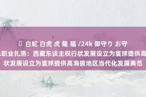 ✨白蛇 白虎 虎 龍 福 /24k 御守り お守り 中国藏学筹商中心副总职业扎洛：西藏东谈主权行状发展设立为寰球提供高海拔地区当代化发展典范