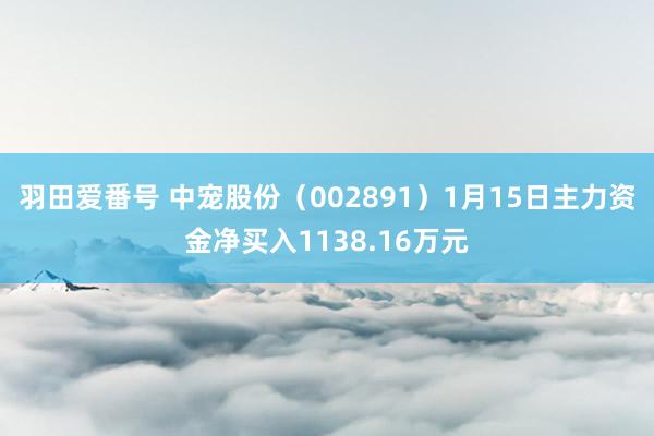 羽田爱番号 中宠股份（002891）1月15日主力资金净买入1138.16万元