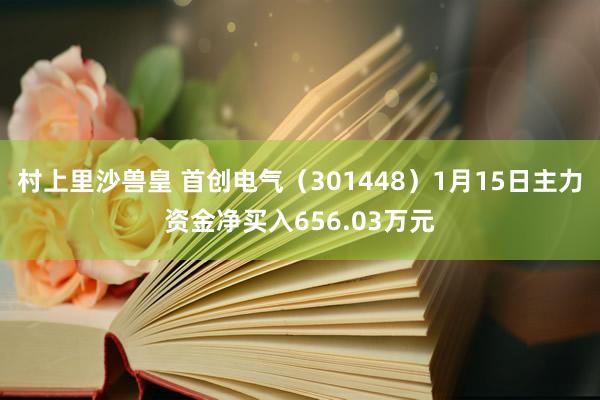 村上里沙兽皇 首创电气（301448）1月15日主力资金净买入656.03万元