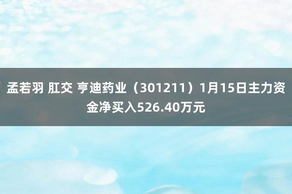 孟若羽 肛交 亨迪药业（301211）1月15日主力资金净买入526.40万元