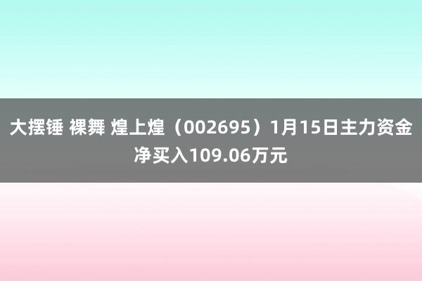 大摆锤 裸舞 煌上煌（002695）1月15日主力资金净买入109.06万元