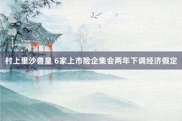 村上里沙兽皇 6家上市险企集会两年下调经济假定