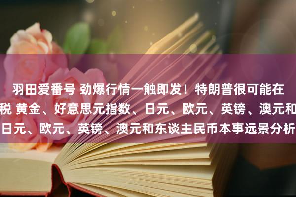 羽田爱番号 劲爆行情一触即发！特朗普很可能在这个时刻点晓谕平等关税 黄金、好意思元指数、日元、欧元、英镑、澳元和东谈主民币本事远景分析