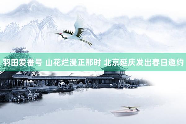 羽田爱番号 山花烂漫正那时 北京延庆发出春日邀约