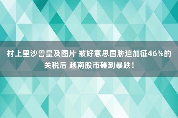 村上里沙兽皇及图片 被好意思国胁迫加征46%的关税后 越南股市碰到暴跌！
