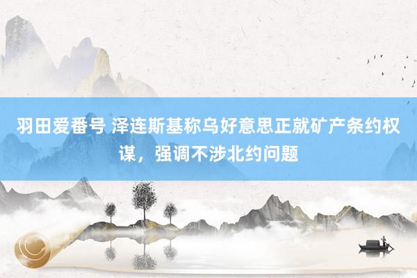 羽田爱番号 泽连斯基称乌好意思正就矿产条约权谋，强调不涉北约问题