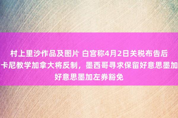 村上里沙作品及图片 白宫称4月2日关税布告后即成效，卡尼教学加拿大将反制，墨西哥寻求保留好意思墨加左券豁免