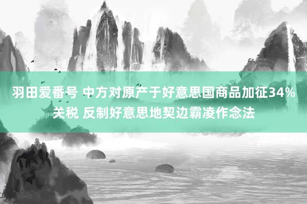 羽田爱番号 中方对原产于好意思国商品加征34%关税 反制好意思地契边霸凌作念法
