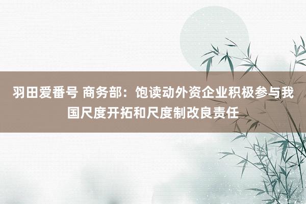 羽田爱番号 商务部：饱读动外资企业积极参与我国尺度开拓和尺度制改良责任