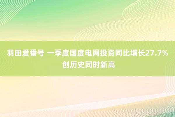 羽田爱番号 一季度国度电网投资同比增长27.7% 创历史同时新高