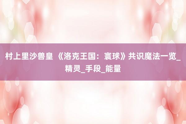 村上里沙兽皇 《洛克王国：寰球》共识魔法一览_精灵_手段_能量