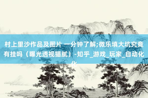 村上里沙作品及图片 一分钟了解;微乐填大坑究竟有挂吗（曝光透视猫腻）-知乎_游戏_玩家_自动化