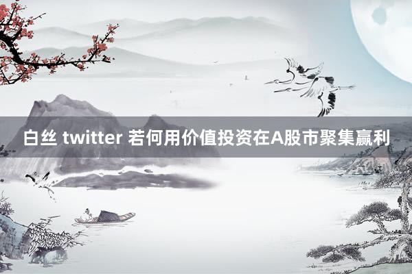 白丝 twitter 若何用价值投资在A股市聚集赢利