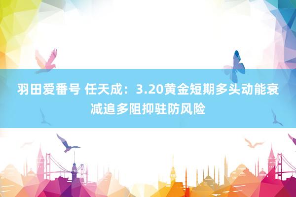 羽田爱番号 任天成：3.20黄金短期多头动能衰减追多阻抑驻防风险