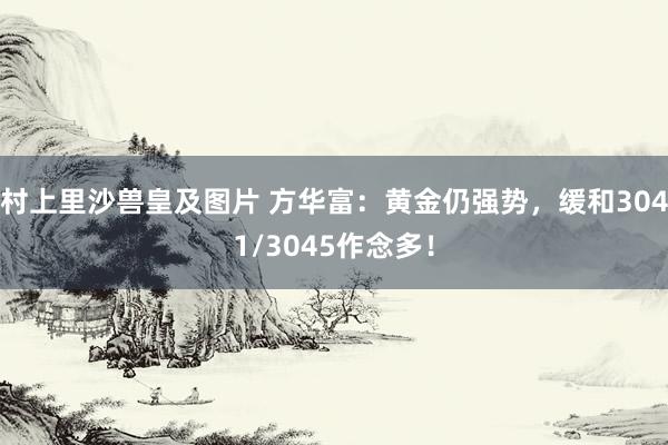 村上里沙兽皇及图片 方华富：黄金仍强势，缓和3041/3045作念多！