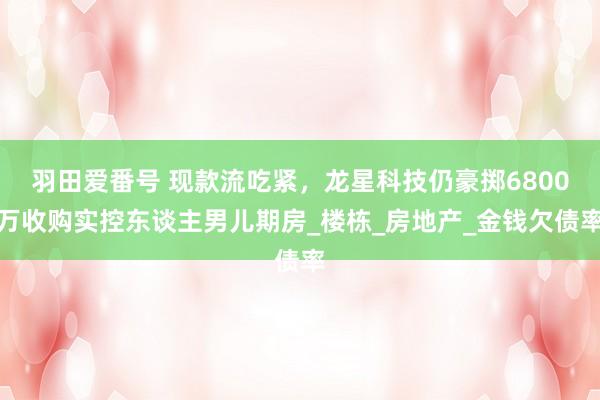 羽田爱番号 现款流吃紧，龙星科技仍豪掷6800万收购实控东谈主男儿期房_楼栋_房地产_金钱欠债率