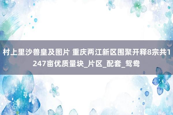 村上里沙兽皇及图片 重庆两江新区围聚开释8宗共1247亩优质量块_片区_配套_鸳鸯