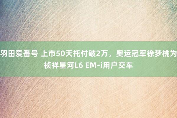 羽田爱番号 上市50天托付破2万，奥运冠军徐梦桃为祯祥星河L6 EM-i用户交车