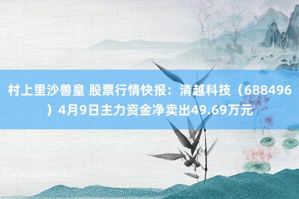 村上里沙兽皇 股票行情快报：清越科技（688496）4月9日主力资金净卖出49.69万元