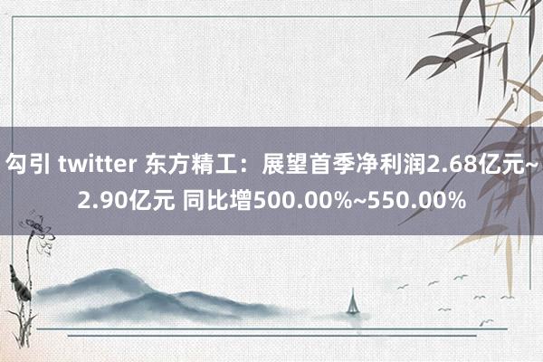 勾引 twitter 东方精工：展望首季净利润2.68亿元~2.90亿元 同比增500.00%~550.00%