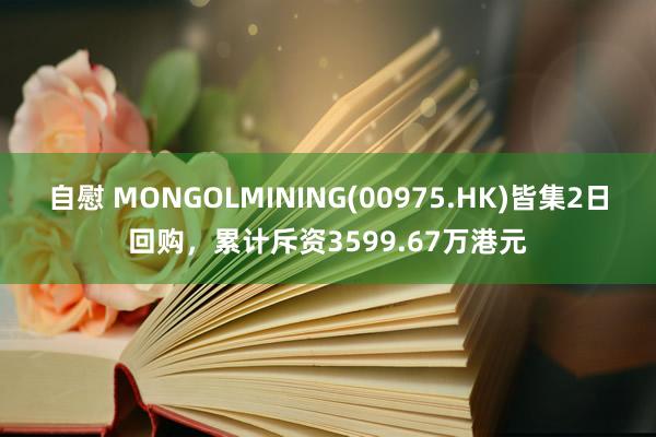 自慰 MONGOLMINING(00975.HK)皆集2日回购，累计斥资3599.67万港元
