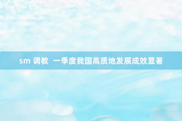 sm 调教  一季度我国高质地发展成效显著