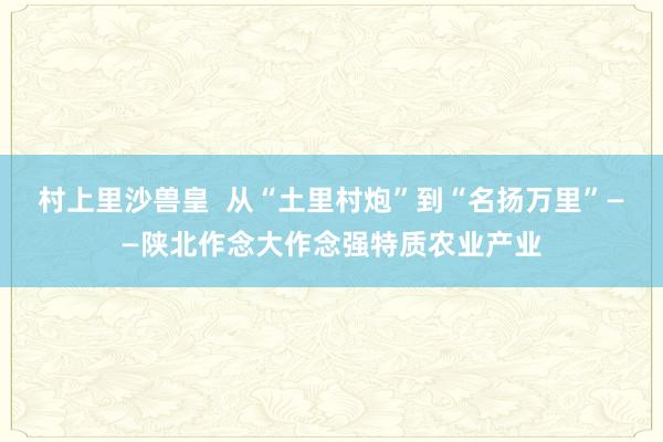 村上里沙兽皇  从“土里村炮”到“名扬万里”——陕北作念大作念强特质农业产业