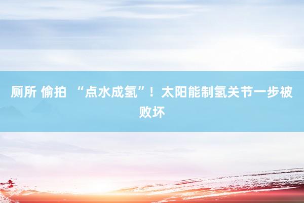 厕所 偷拍  “点水成氢”！太阳能制氢关节一步被败坏
