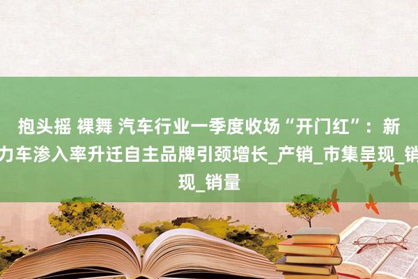 抱头摇 裸舞 汽车行业一季度收场“开门红”：新动力车渗入率升迁自主品牌引颈增长_产销_市集呈现_销量