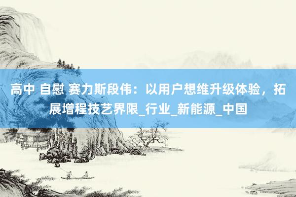 高中 自慰 赛力斯段伟：以用户想维升级体验，拓展增程技艺界限_行业_新能源_中国