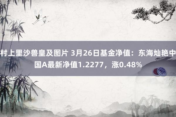 村上里沙兽皇及图片 3月26日基金净值：东海灿艳中国A最新净值1.2277，涨0.48%