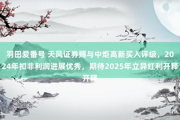 羽田爱番号 天风证券赐与中炬高新买入评级，2024年扣非利润进展优秀，期待2025年立异红利开释
