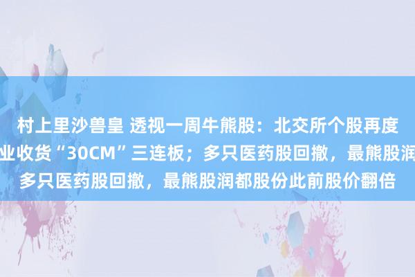 村上里沙兽皇 透视一周牛熊股：北交所个股再度活跃，最牛股秋乐种业收货“30CM”三连板；多只医药股回撤，最熊股润都股份此前股价翻倍