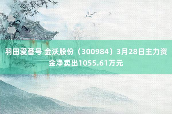 羽田爱番号 金沃股份（300984）3月28日主力资金净卖出1055.61万元