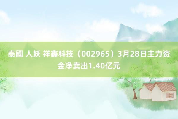 泰國 人妖 祥鑫科技（002965）3月28日主力资金净卖出1.40亿元