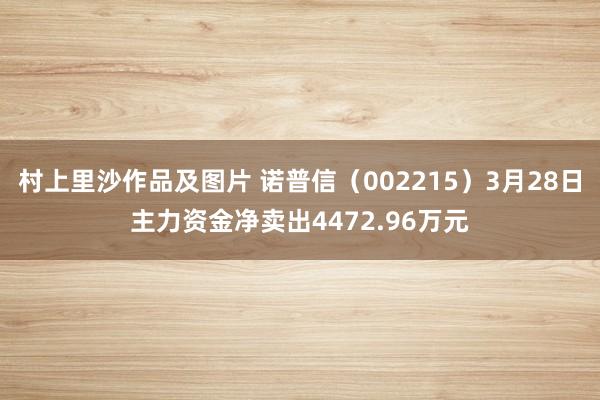 村上里沙作品及图片 诺普信（002215）3月28日主力资金净卖出4472.96万元