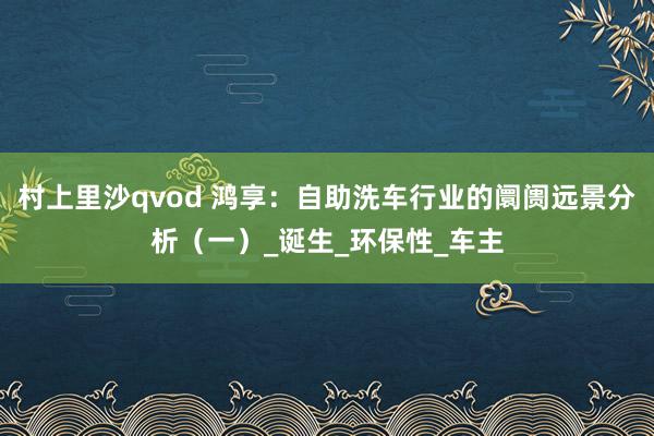 村上里沙qvod 鸿享：自助洗车行业的阛阓远景分析（一）_诞生_环保性_车主