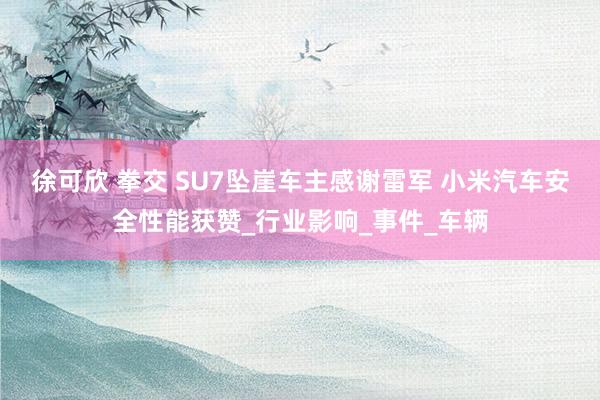 徐可欣 拳交 SU7坠崖车主感谢雷军 小米汽车安全性能获赞_行业影响_事件_车辆